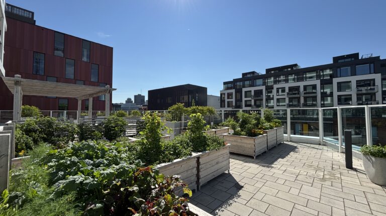 voda_garden_2025