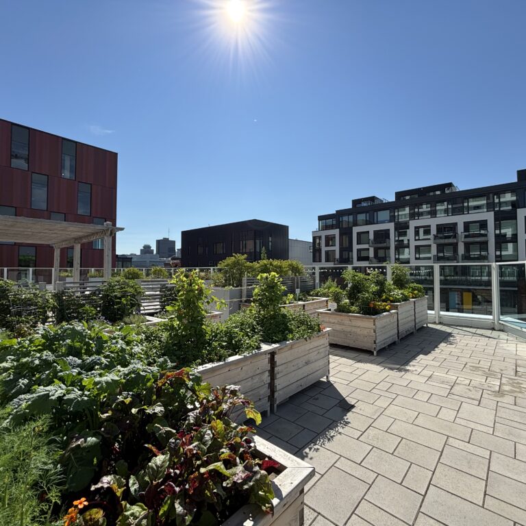voda_garden_2025